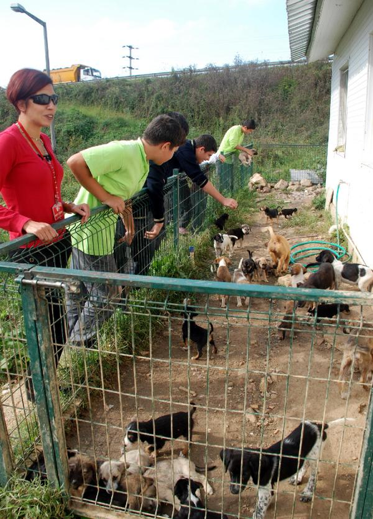 Barınağı Ziyaret Edip Köpekleri Sevdiler