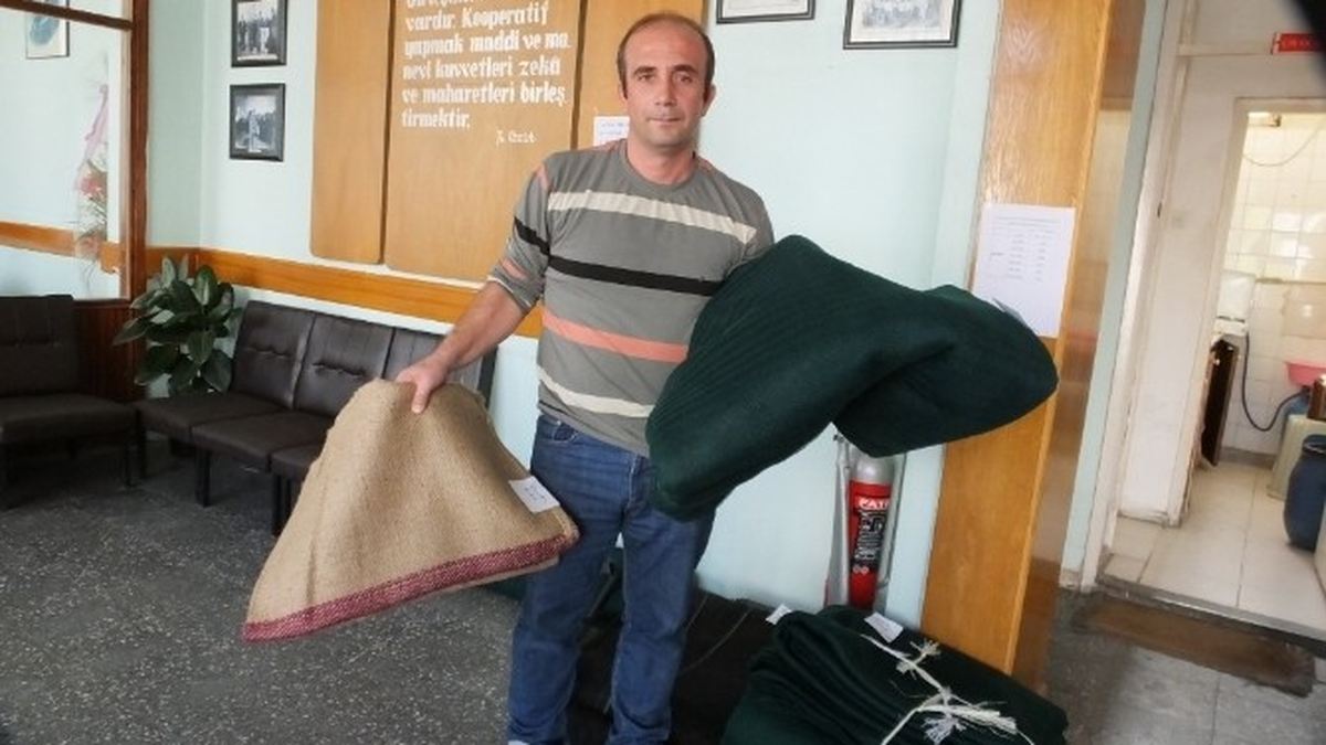 Burhaniye\'de Zeytin Tentesi ve Çuval Satışı Başladı