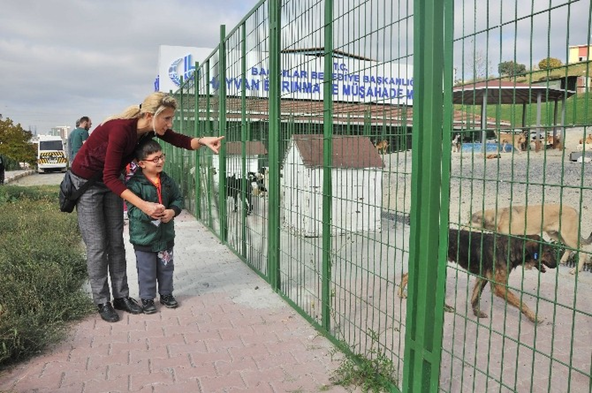 Hayvan Dostu Minikler