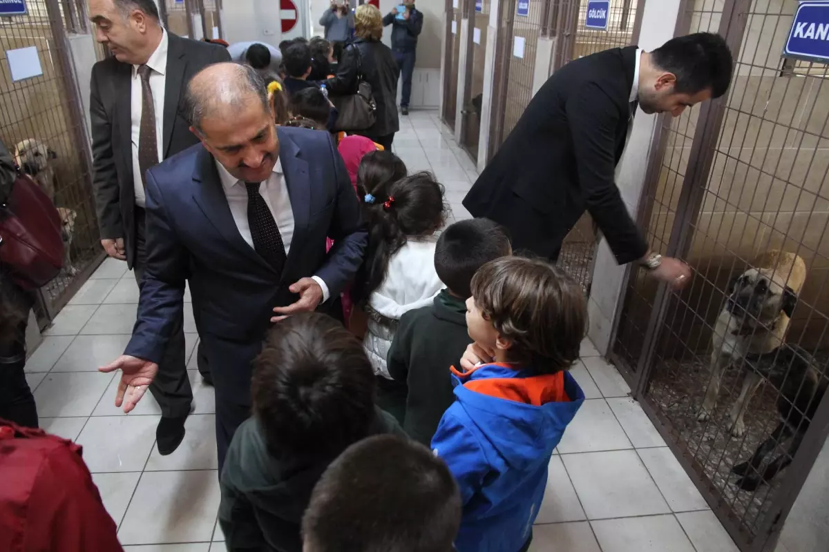 Minikler Hayvanları Çok Sevdi