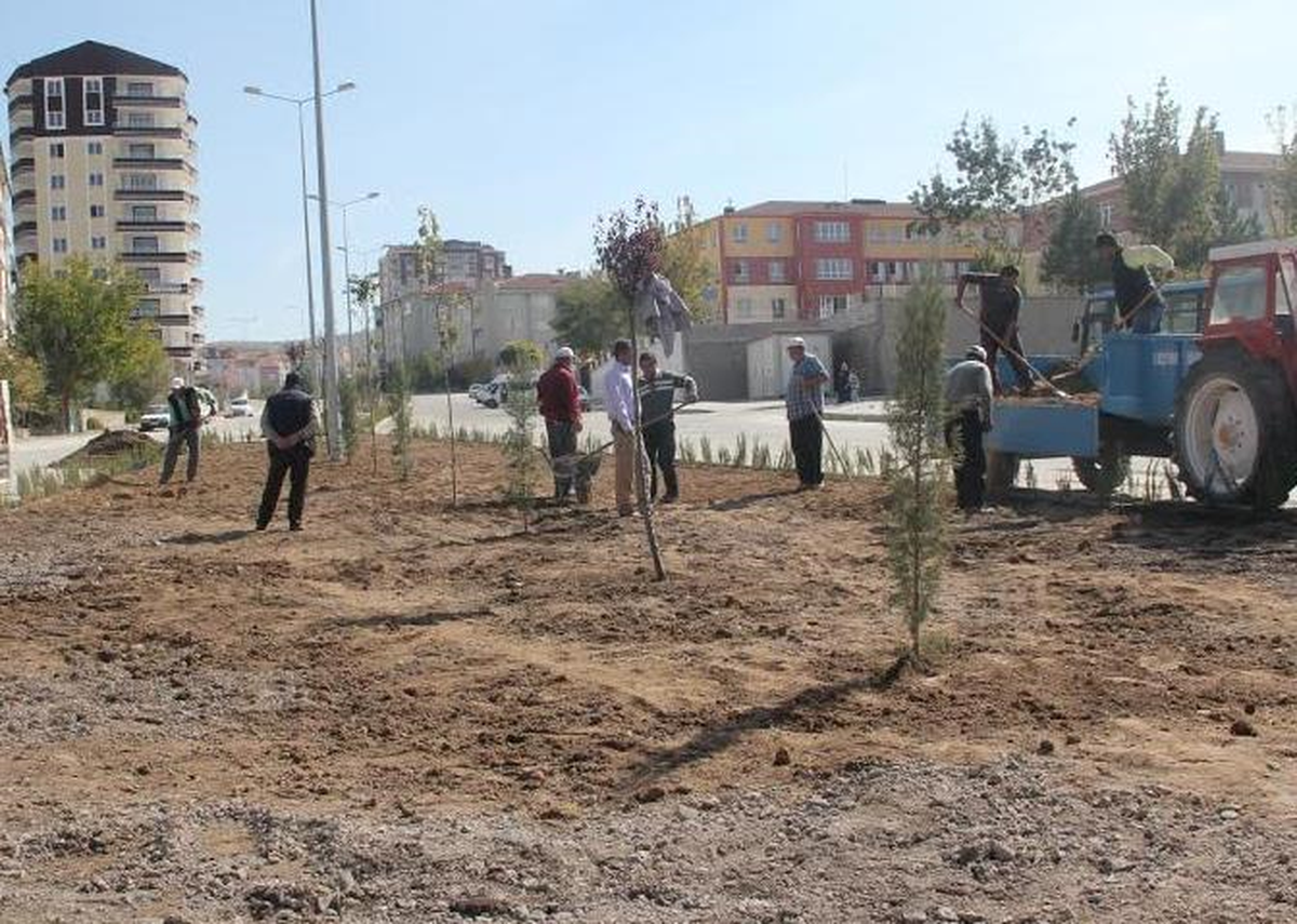 Muhsin Yazıcıoğlu Bulvarı Ihlamur Kokacak