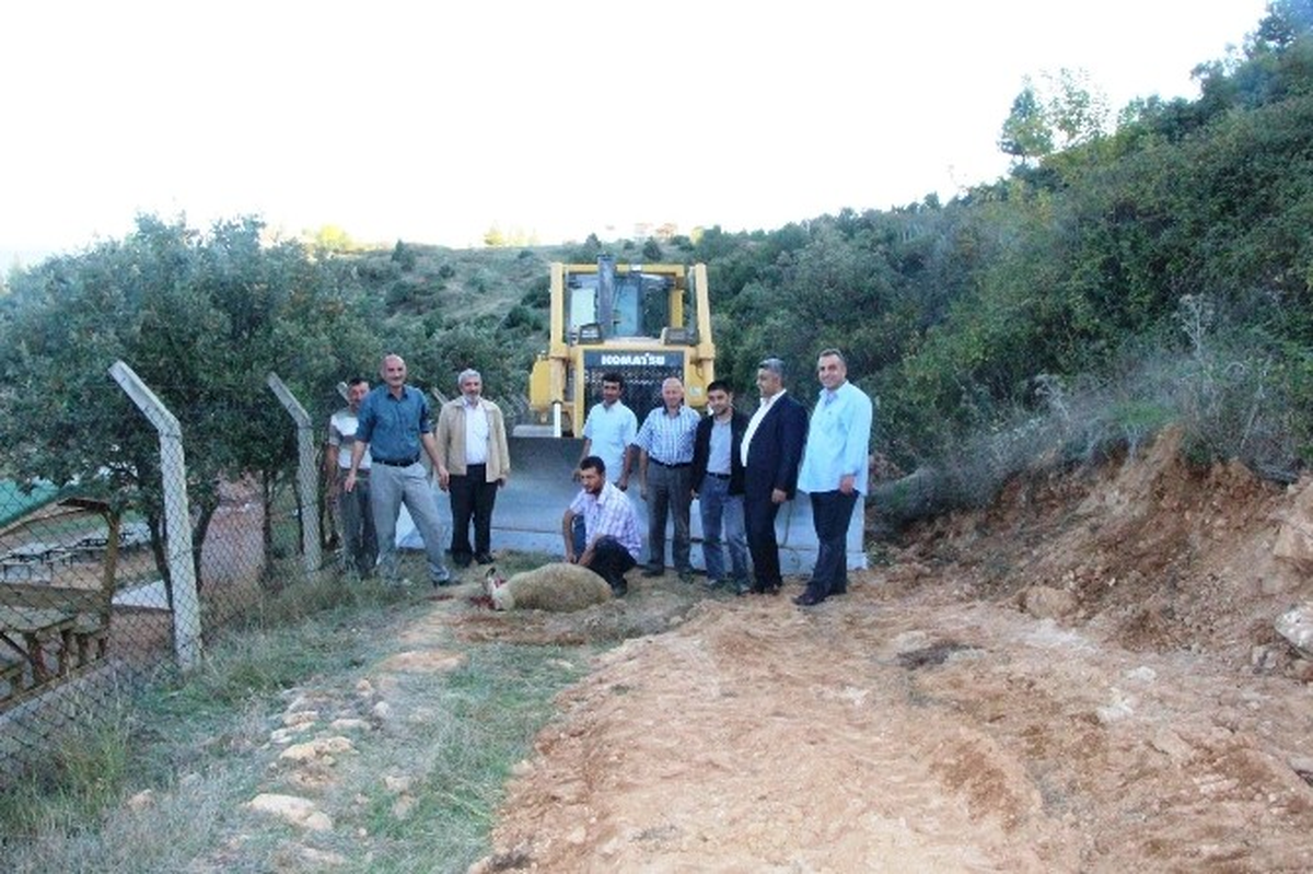 Orman Yolu Genişletme Çalışmaları
