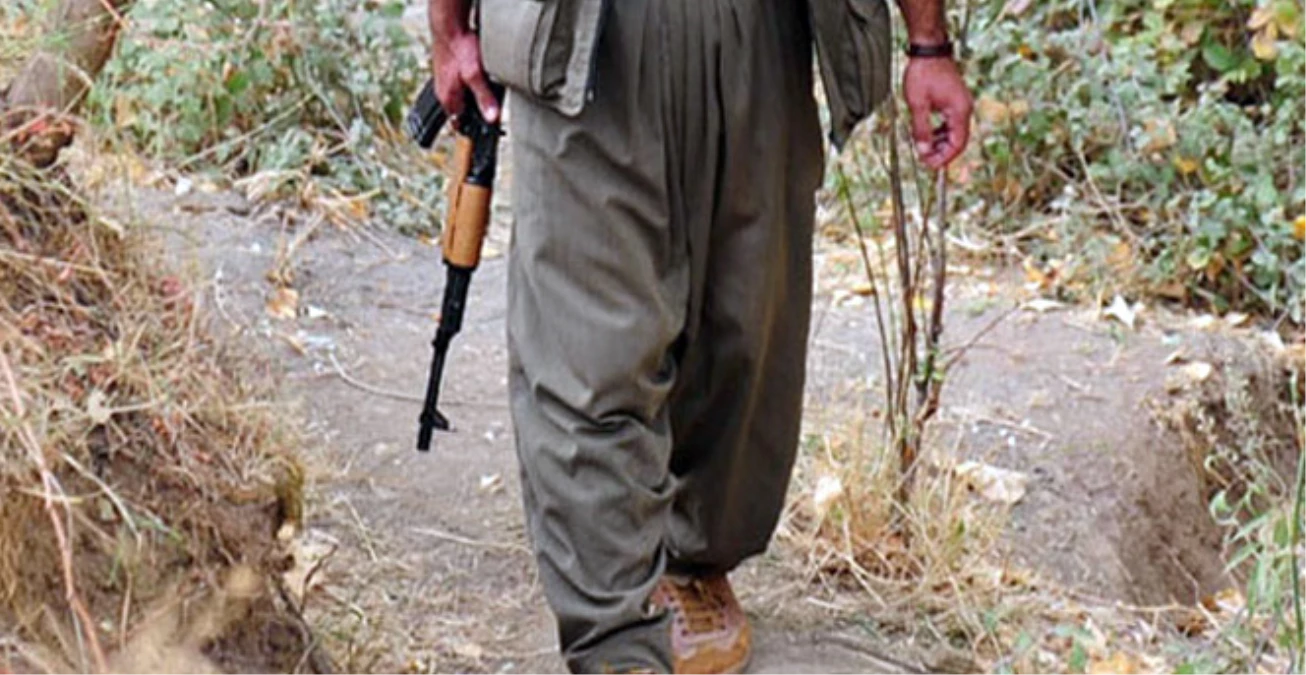 Polisleri Şehit Eden PKK\'lılardan Biri Milli Eğitim Memuru Çıktı
