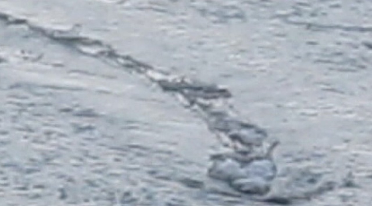 Göldeki Canavarı Sahilden Görüntülediler!