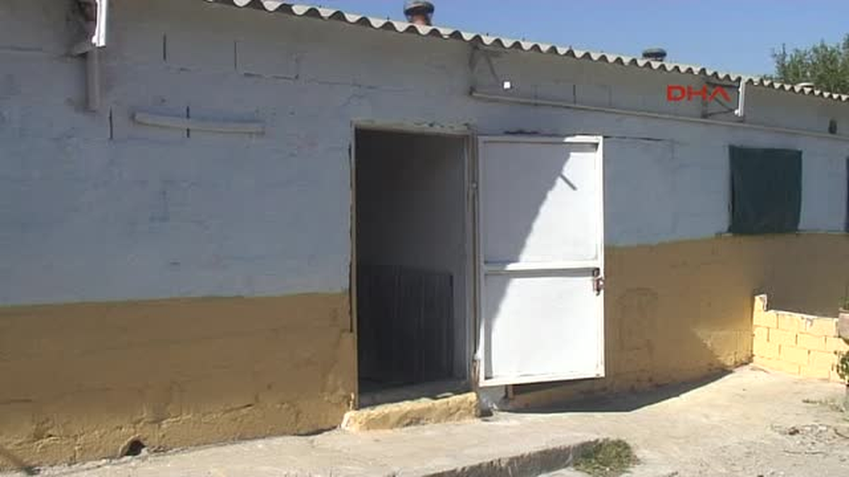İzmir Rusya\'ya İş Görüşmesine Gitti, Solucan Projesiyle Türkiye\'ye Döndü