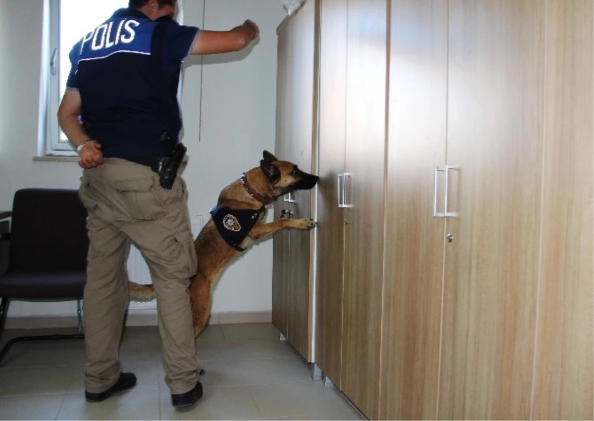 Narkotik Köpeği \'Şila\' Karabük\'te Uyuşturucuya Geçit Vermiyor
