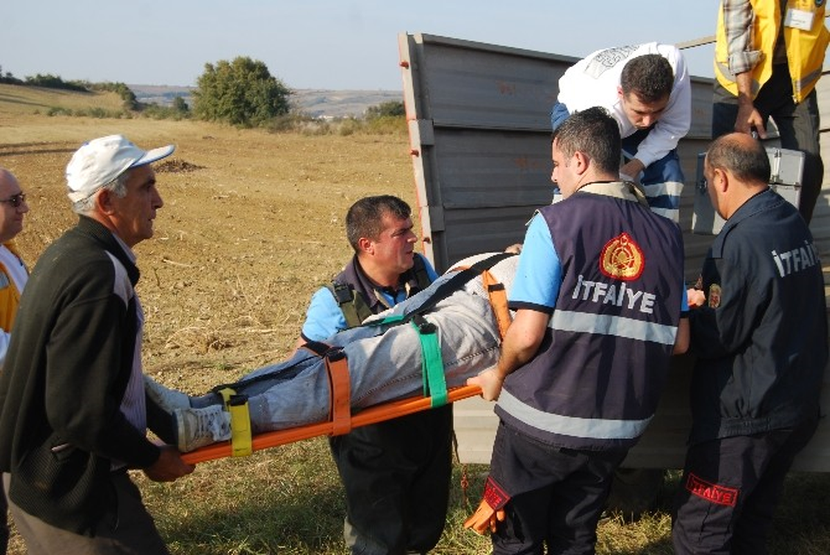 Ağacın Altında Kalan Yaşlı Adam Ağır Yaralandı