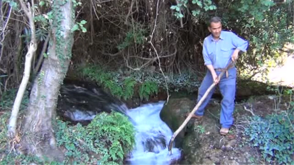 Asırlık Su Değirmeni, Teknolojiye Direniyor