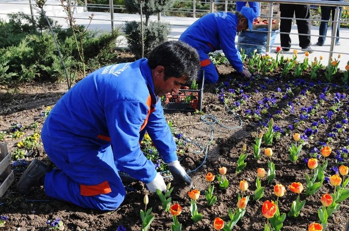 Park ve Bahçeler Kışa Hazırlanıyor