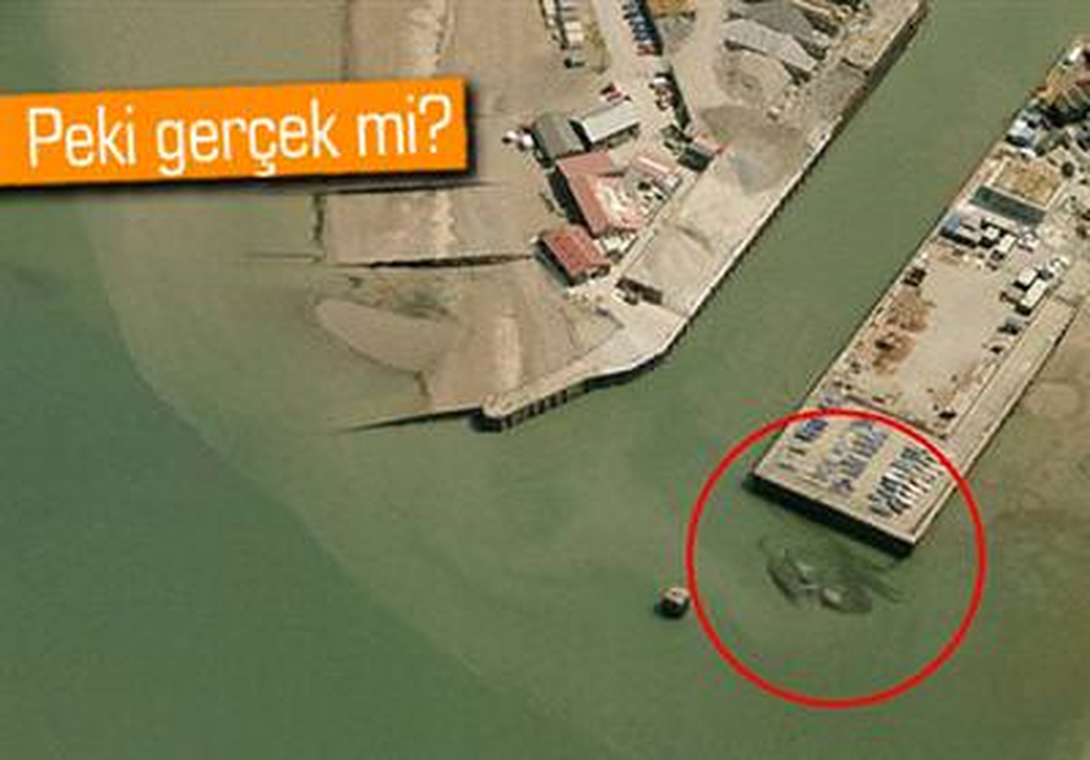 15 Metrelik Yengeç Dünyayı Ayağa Kaldırdı