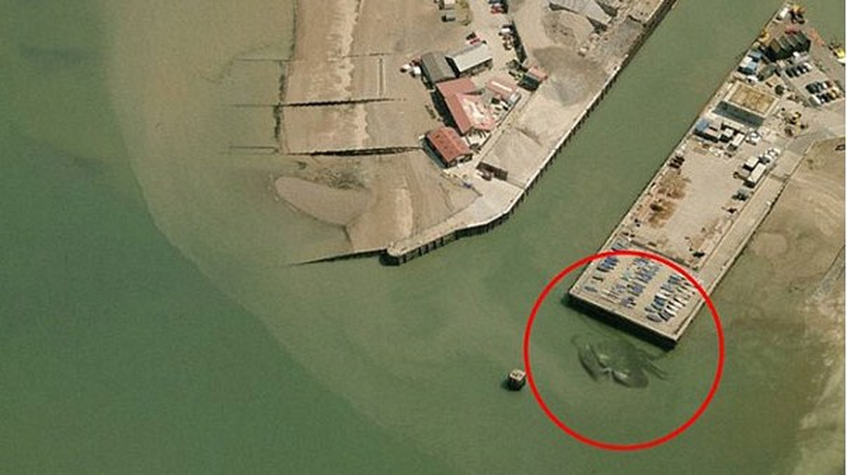 15 Metrelik Yengeç Hayrete Düşürdü