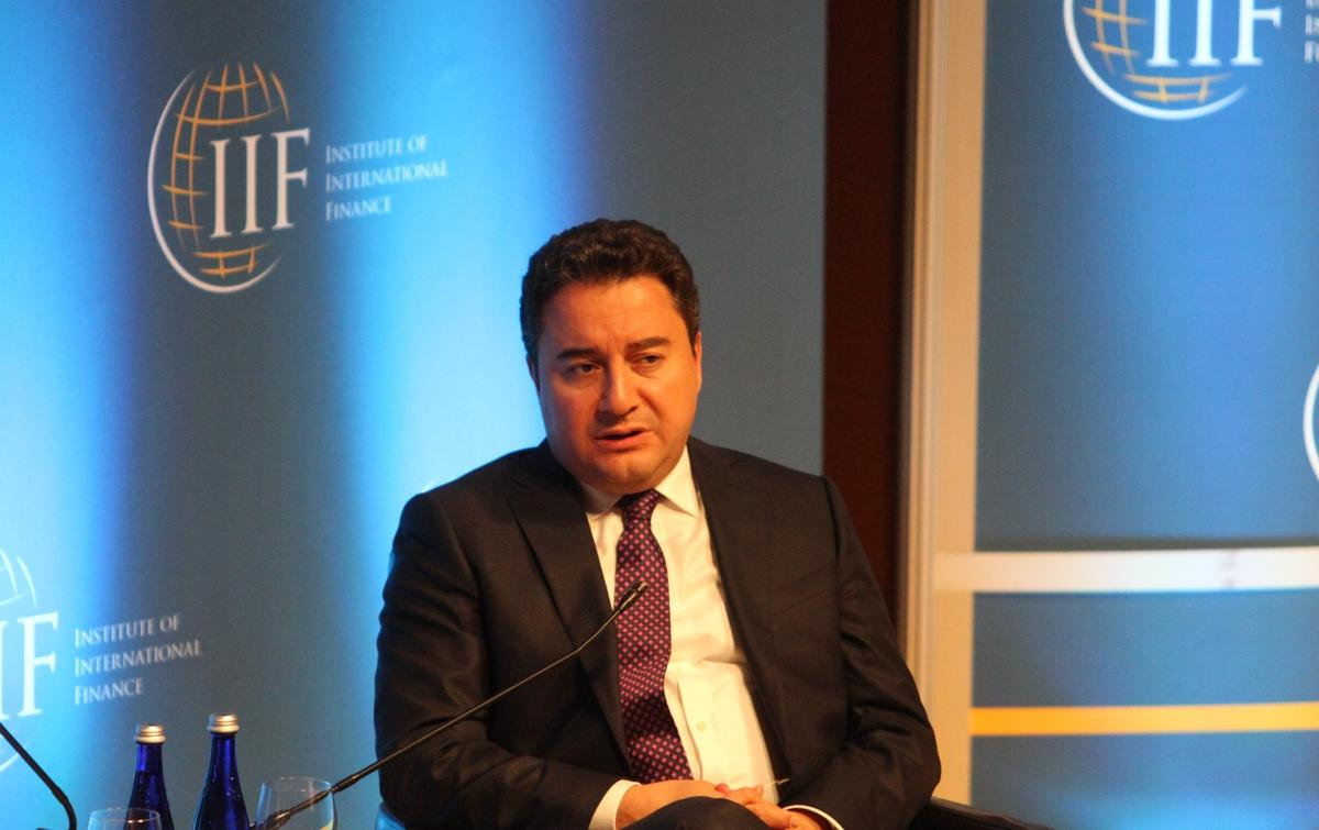 Başbakan Yardımcısı Babacan Açıklaması