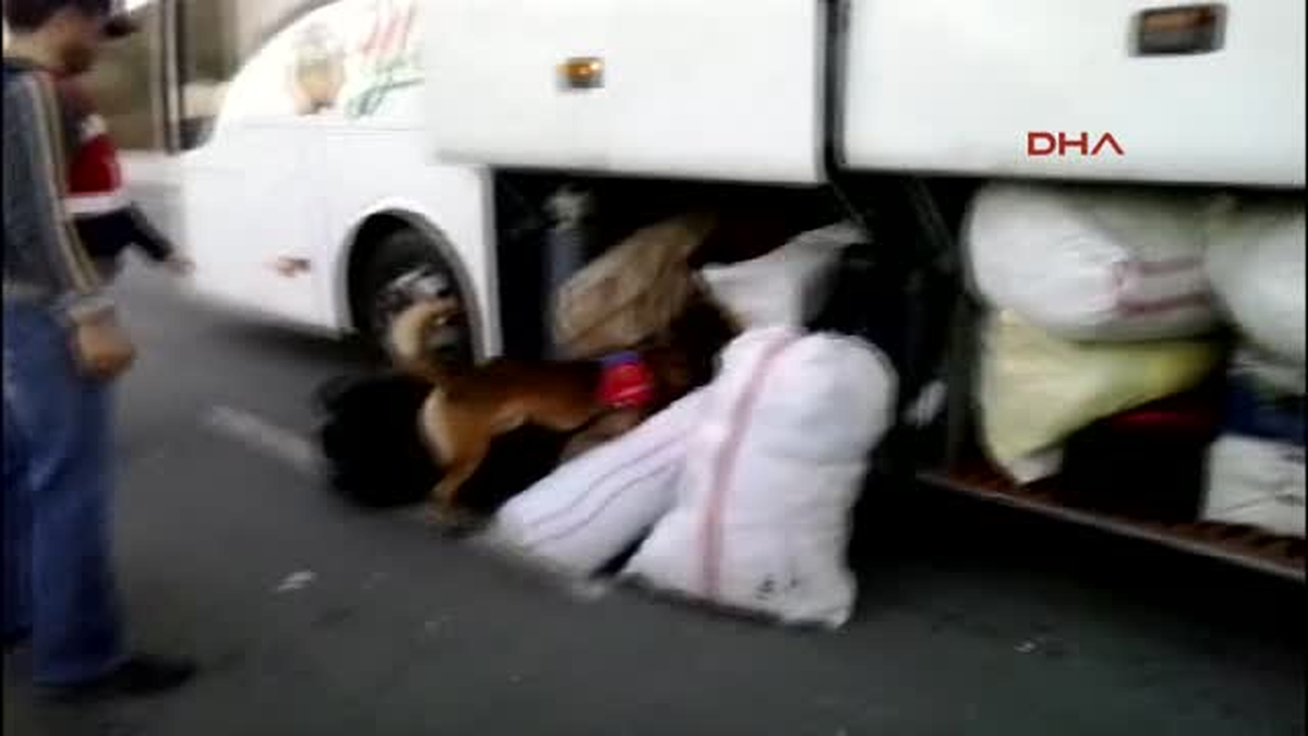 Jandarmadan Uyuşturucu Operasyonu