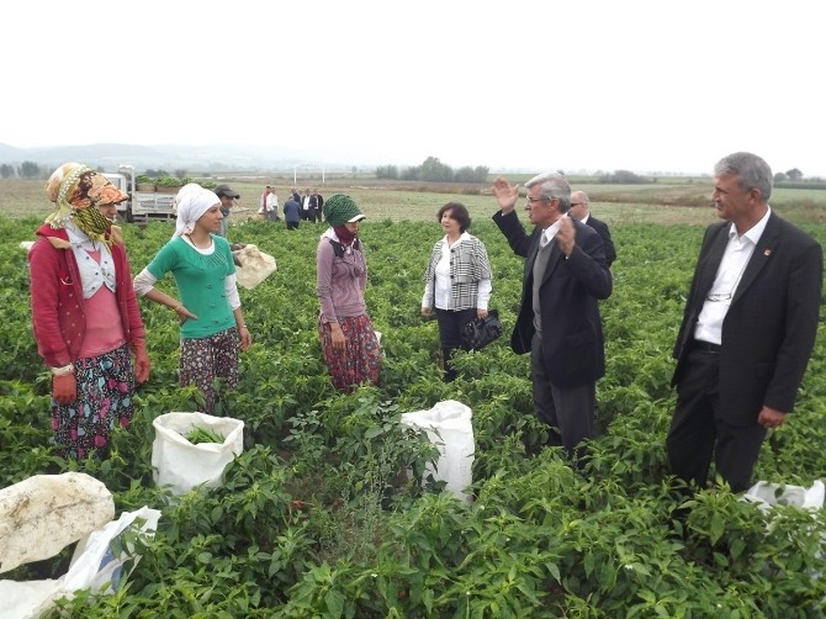 Mardinli Kızlar Çeyiz Düzmek İçin Bursa\'da Biber Topluyor