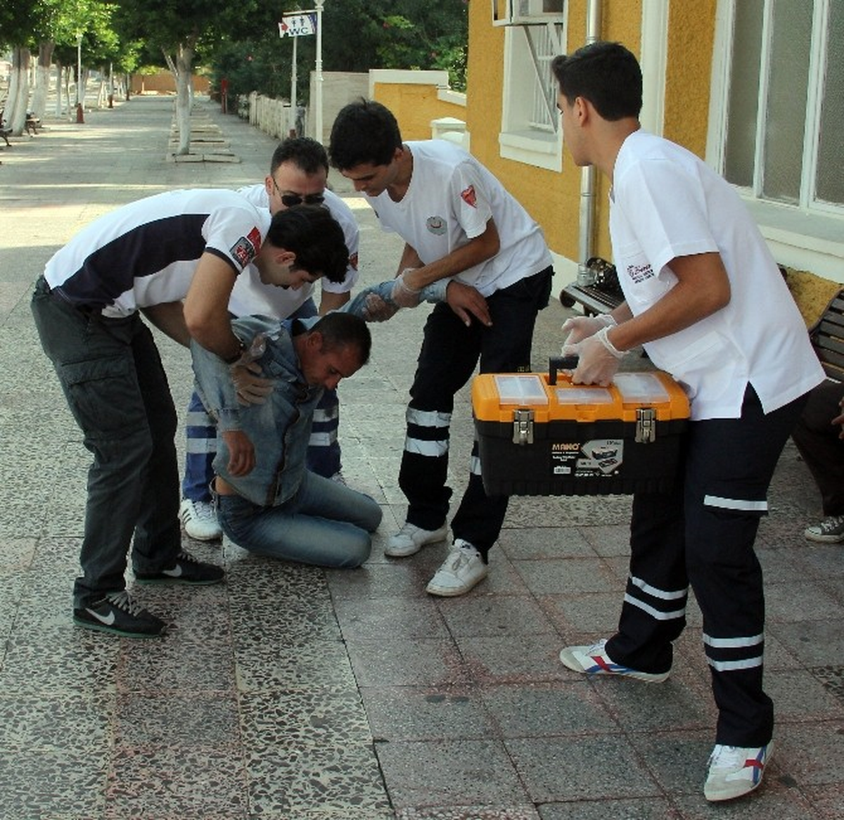 Bonzai Değil Kolonya Bu Hale Getirdi