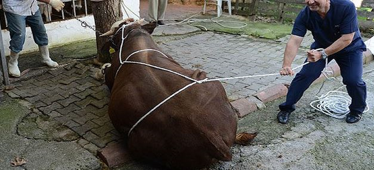 Bu Görüntüler Cezasız Kalmadı