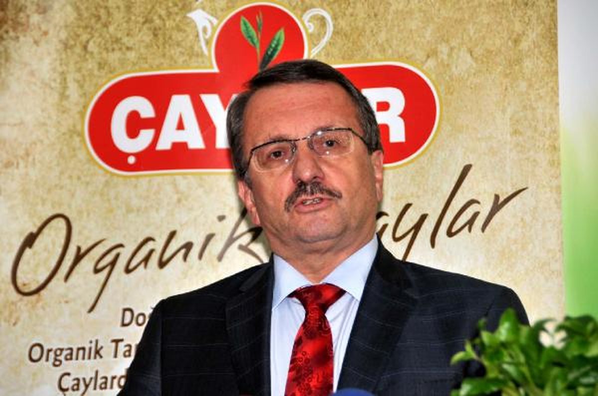 Çaykur 575 Kilo Beyaz Çay Üretti
