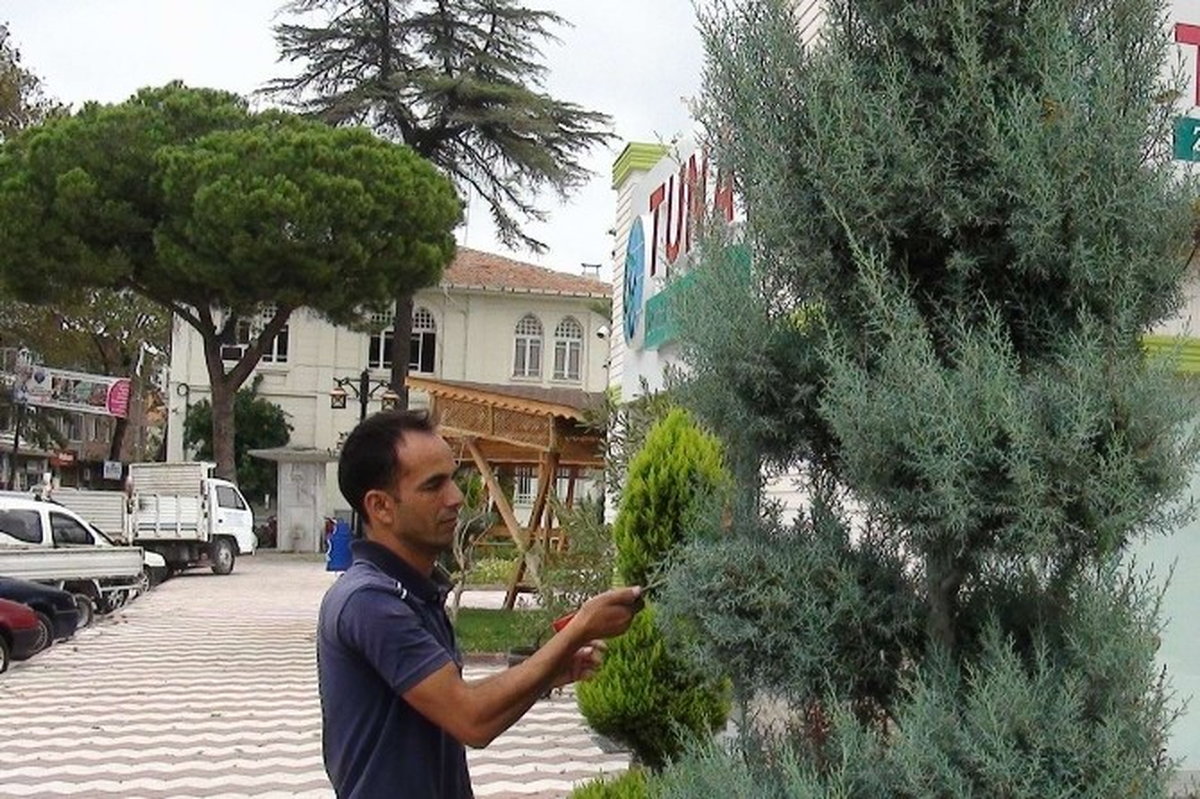 Havran Belediyesi\'nden Parklara Bakım