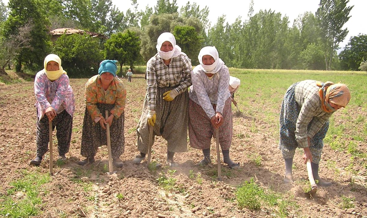 Dünya Kadın Çiftçiler Günü