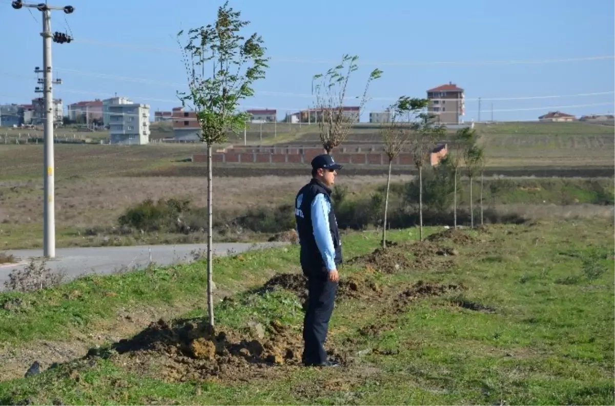 Ergene Belediye Başkanı Yüksel: " Daha Yeşil Bir Ergene Hedefliyoruz"