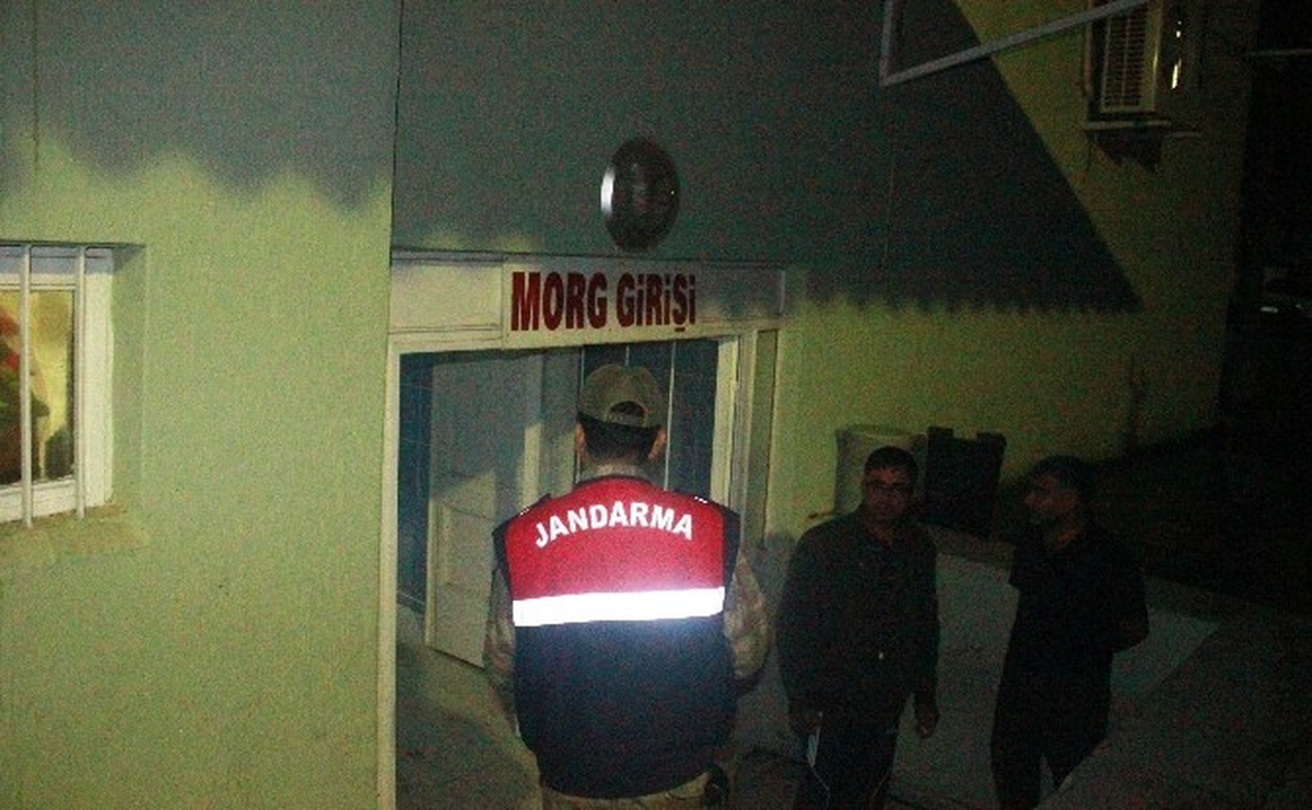 Genç Çobanın Acı Sonu