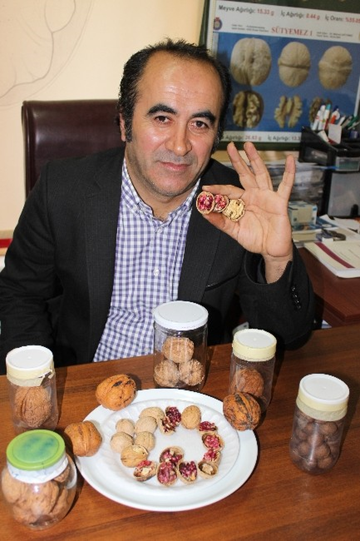 Kırmızı Ceviz Üretildi
