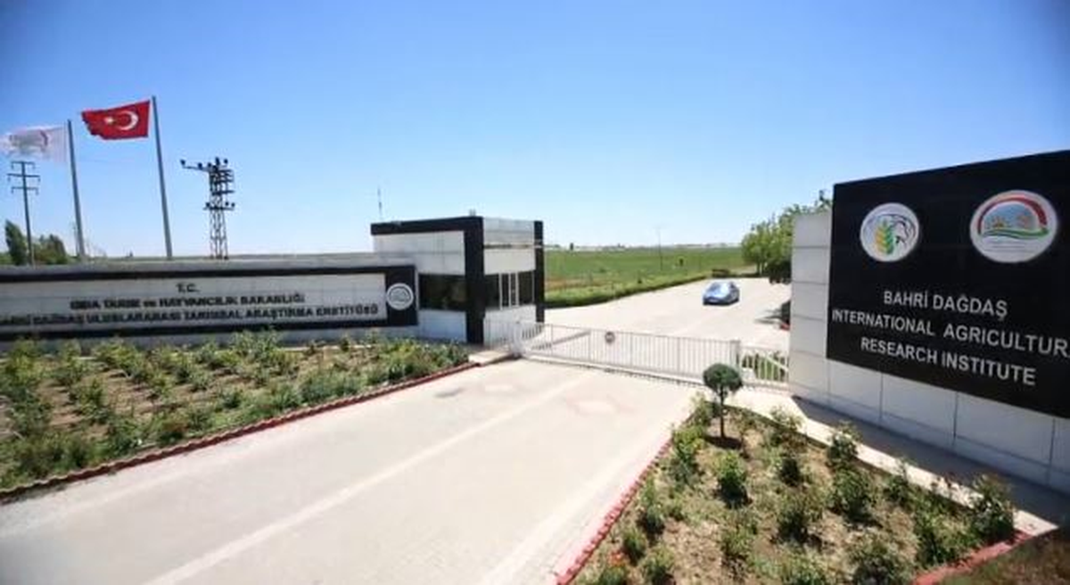 Orduya At Yetiştirilmesi İçin Kurulan Enstitü 100. Yılını Kutluyor