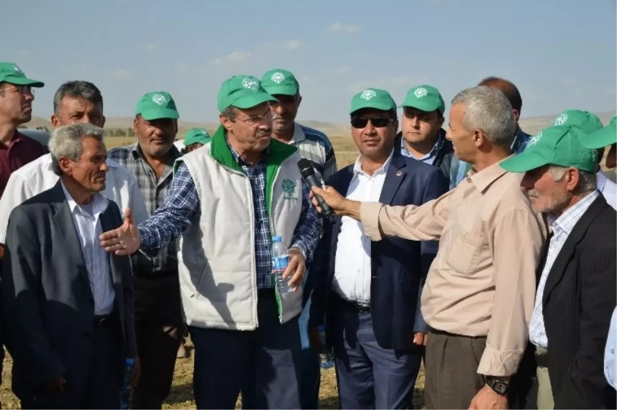 Sarıoğlan\'da Maus Uygulaması