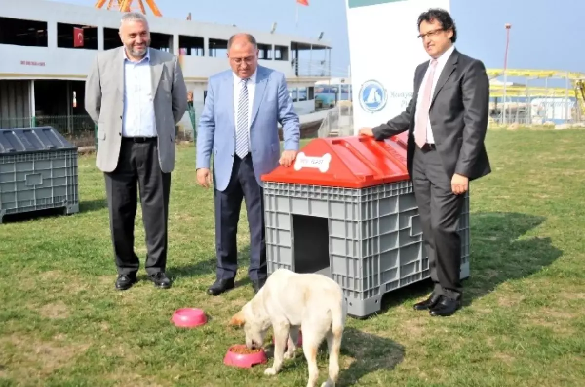 Sokak Hayvanlarına Plastik Barınak