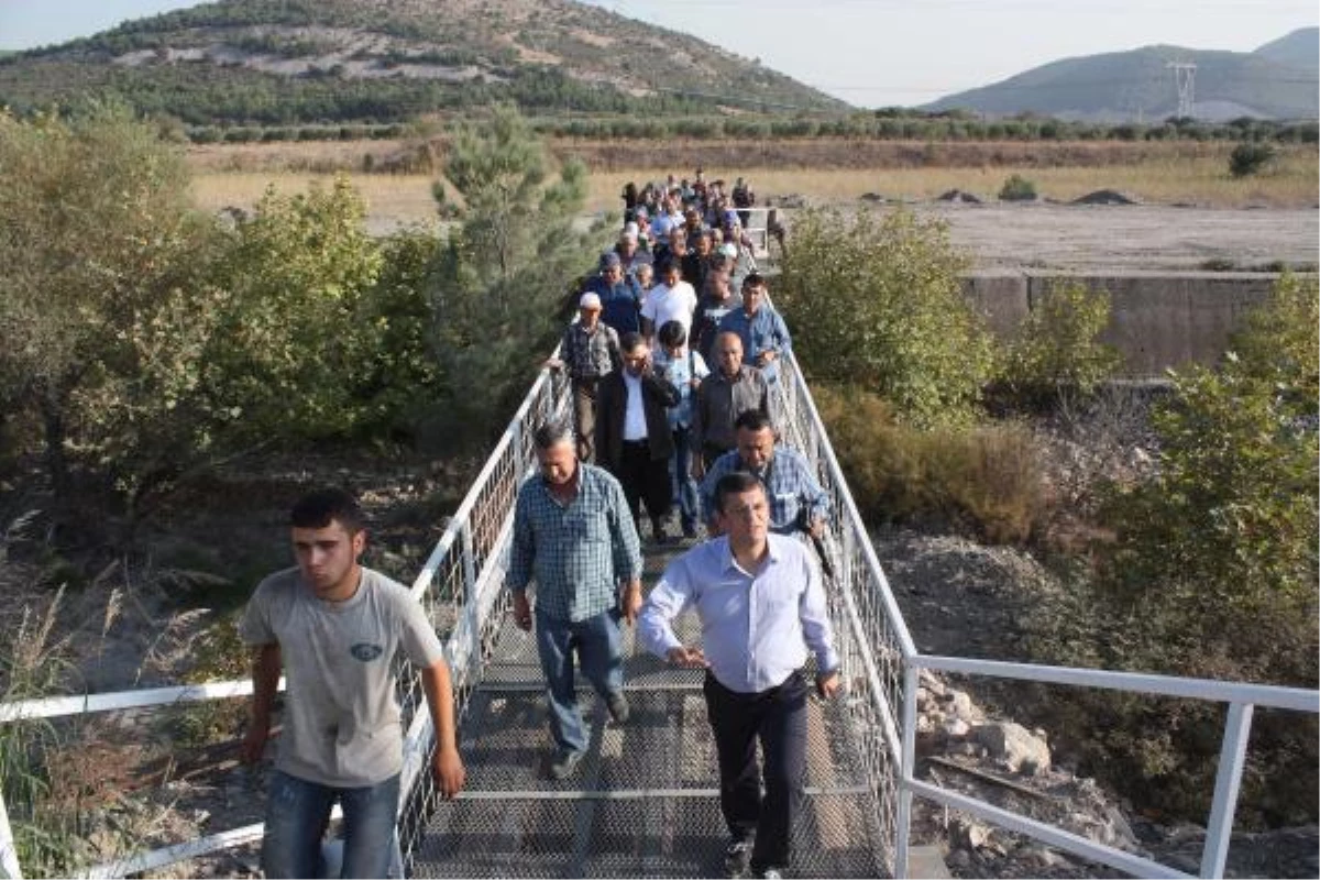 CHP\'li Özel, Santral İçin Zeytin Ağaçlarının Kesildiği Alanı İnceledi