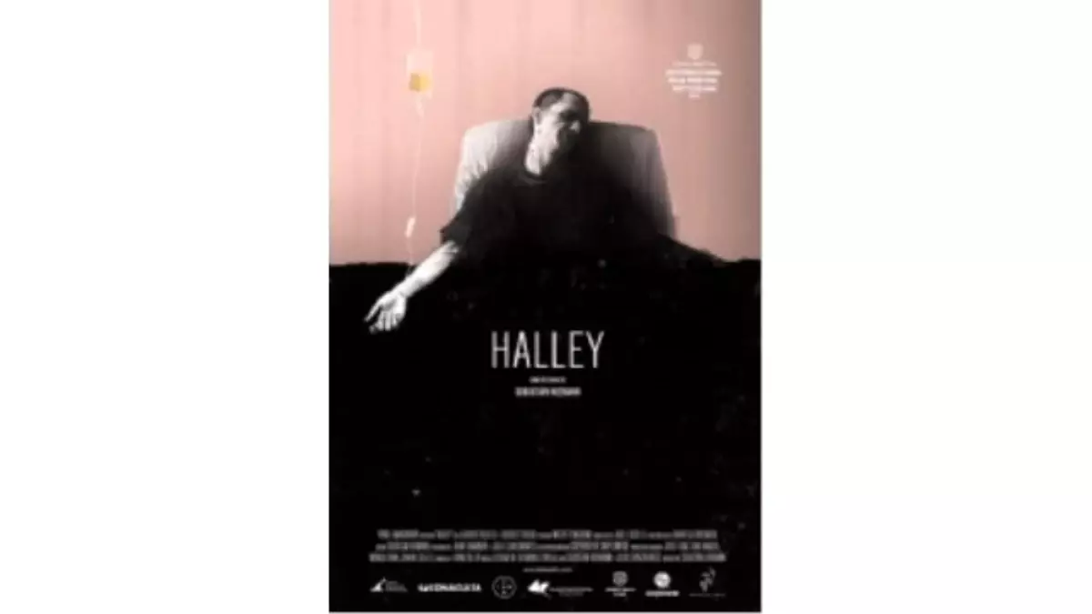 Halley Filmi