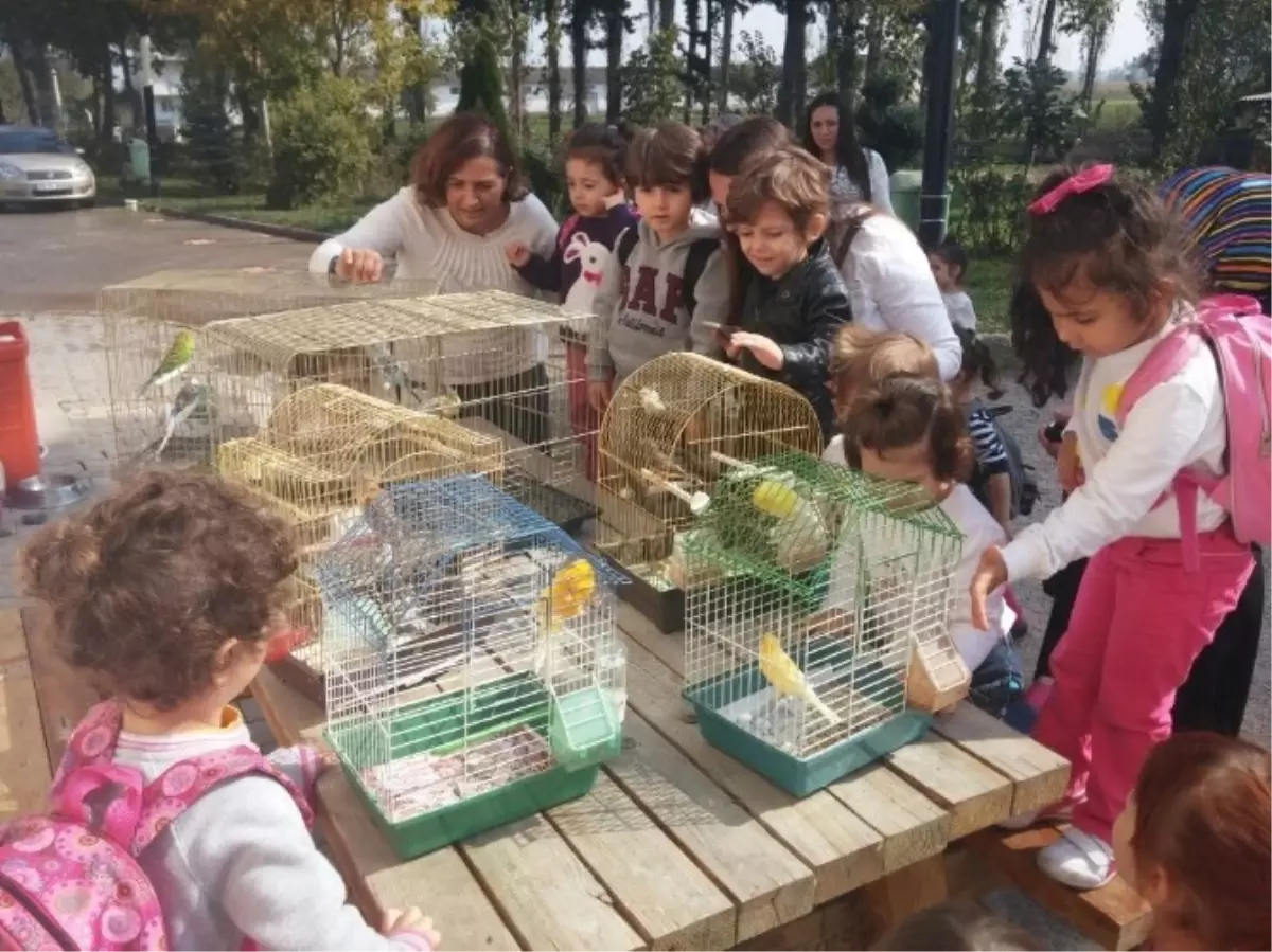 Minik Öğrenciler Hayvan Barınağını Ziyaret Etti