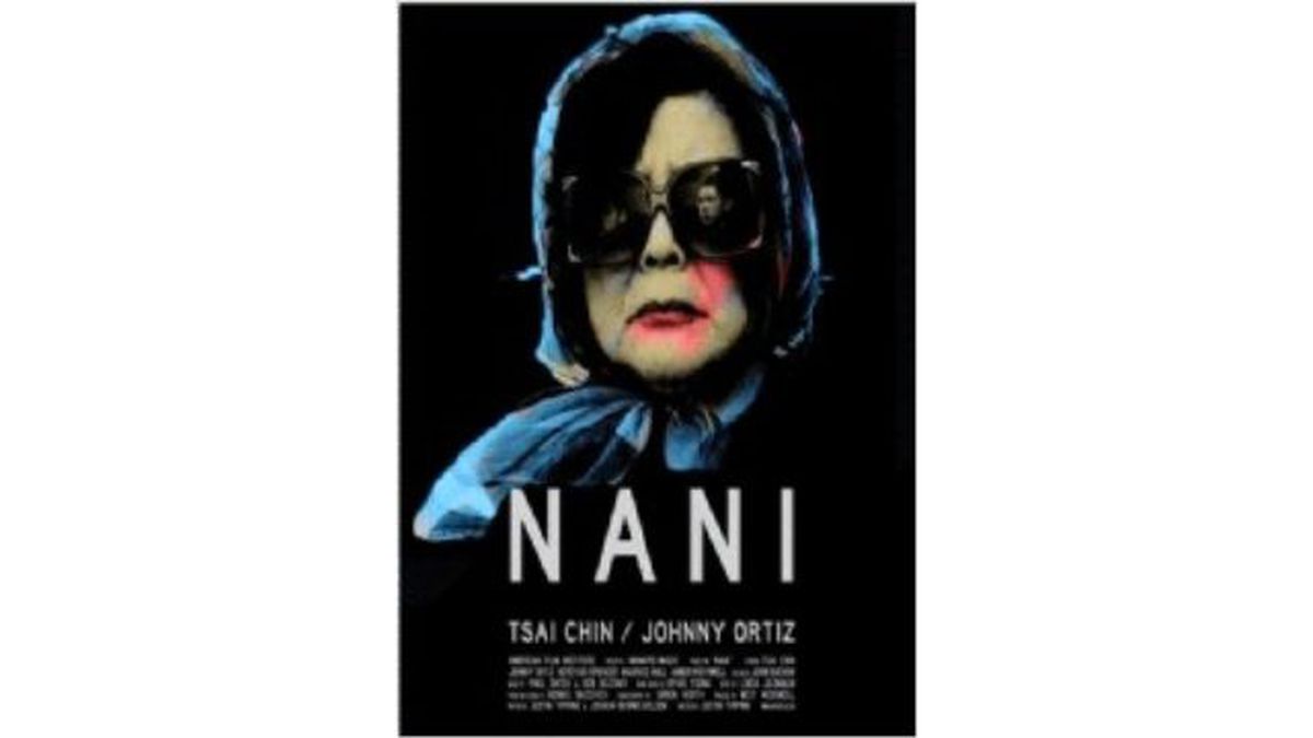 Nani Filmi