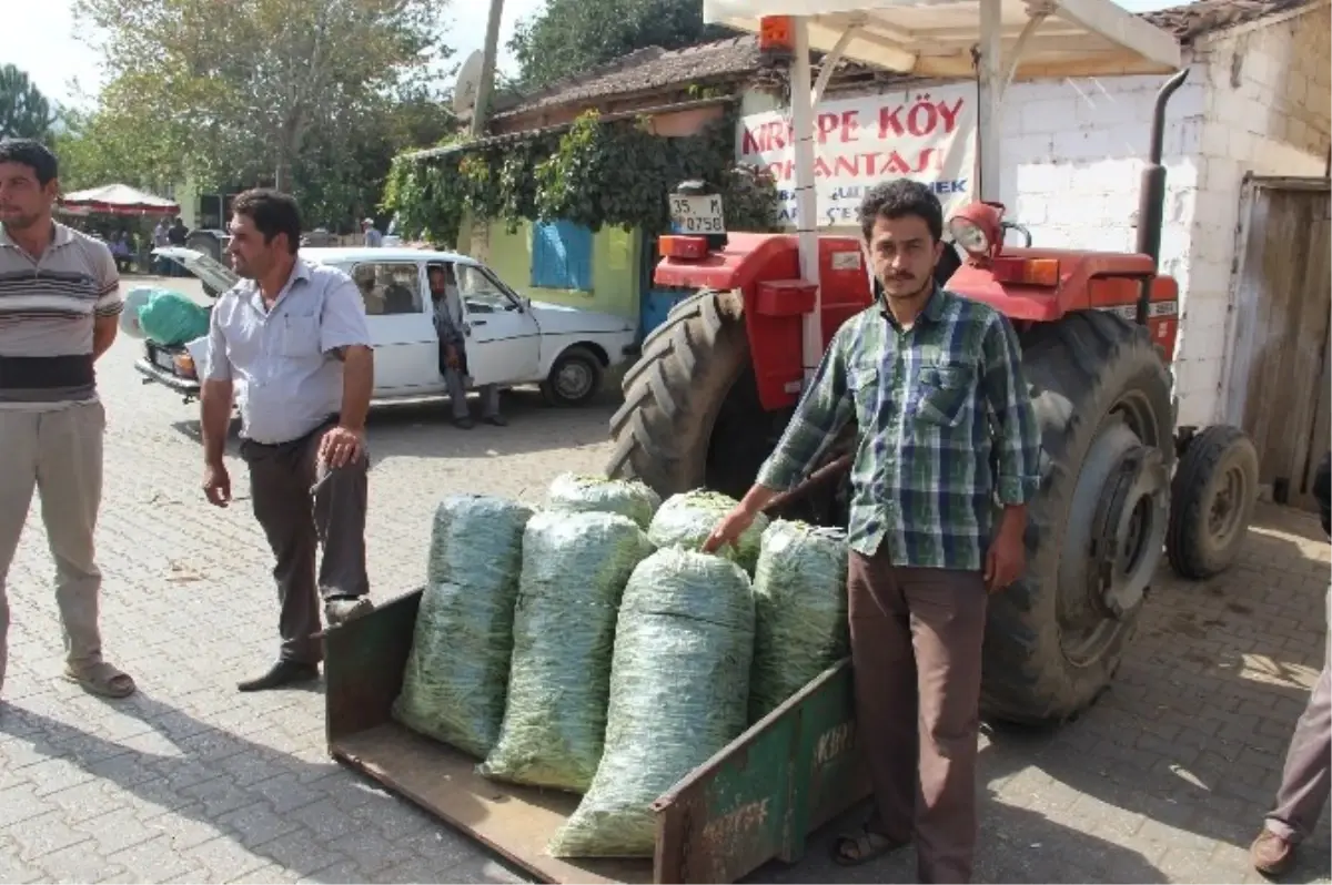 Tire\'deki Fasülye Pazarında Fiyatlar Makul