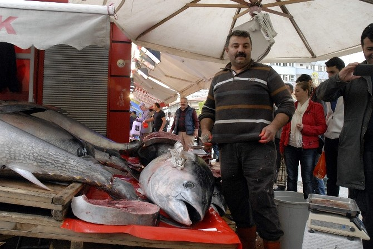 Eskişehirli Balıkçının Ton Balığı Şansı
