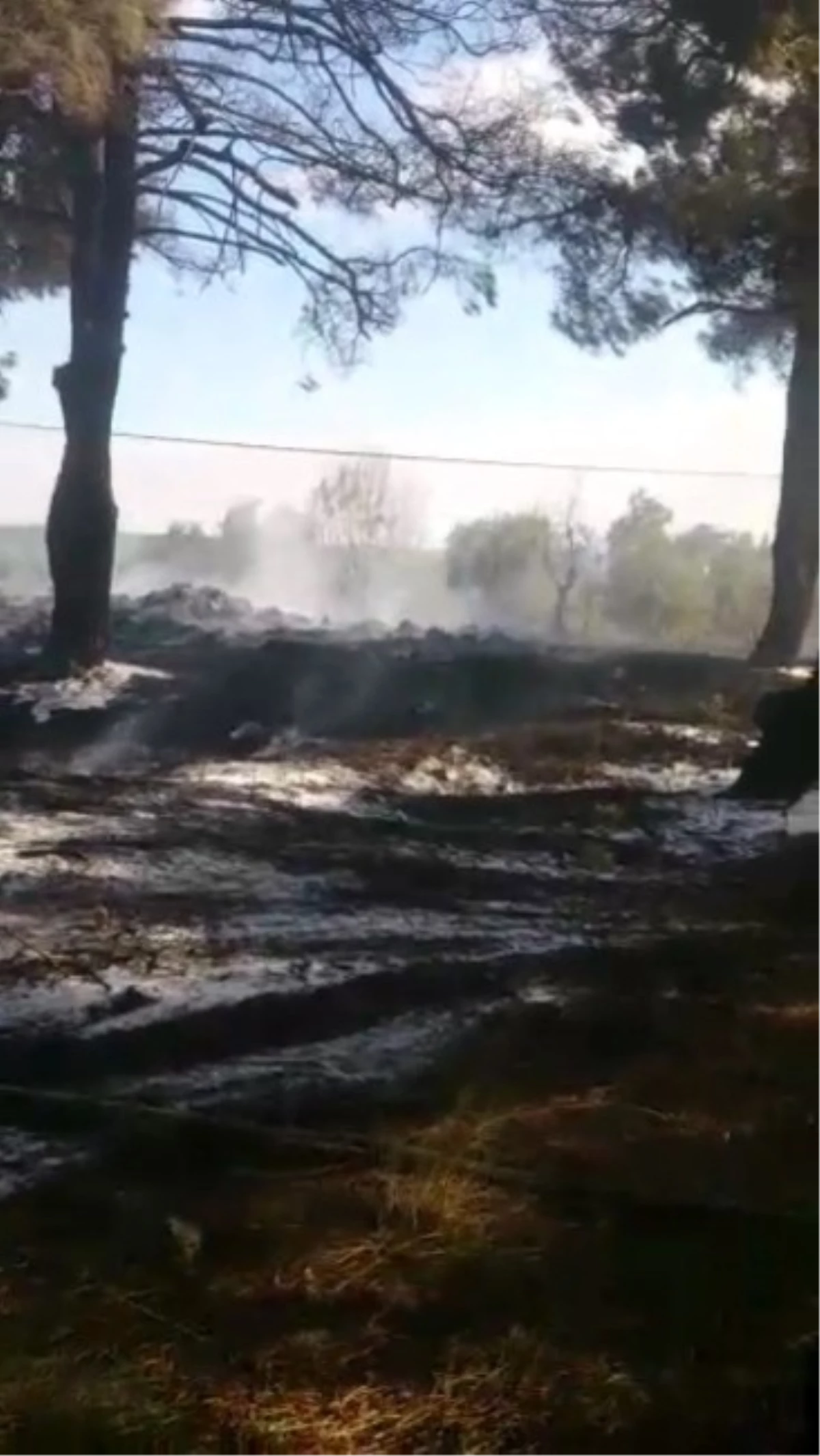 Gelibolu Yarımadasında Tutuşan Samanlar Yangın Çıkarttı