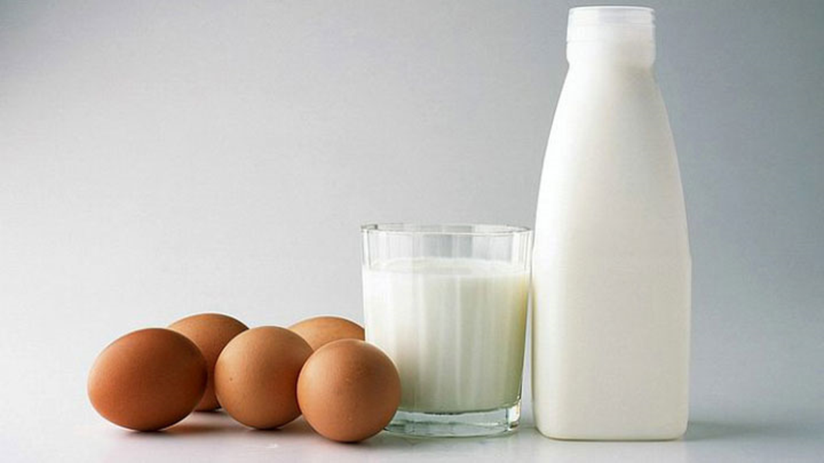 Malaklıların Güçlü Yapılarının Sırrı Süt ve Yumurtada