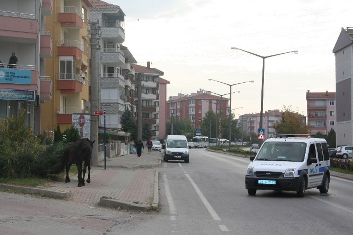 Polis At Peşinde