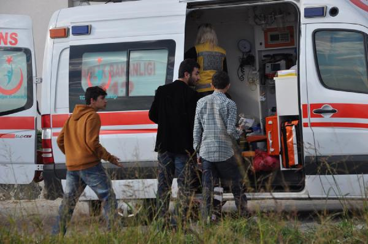 Şakalaşırken, Tepeden Yuvarlandılar