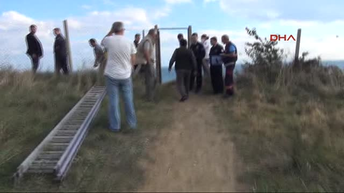 Şakalaşırken, Tepeden Yuvarlandılar