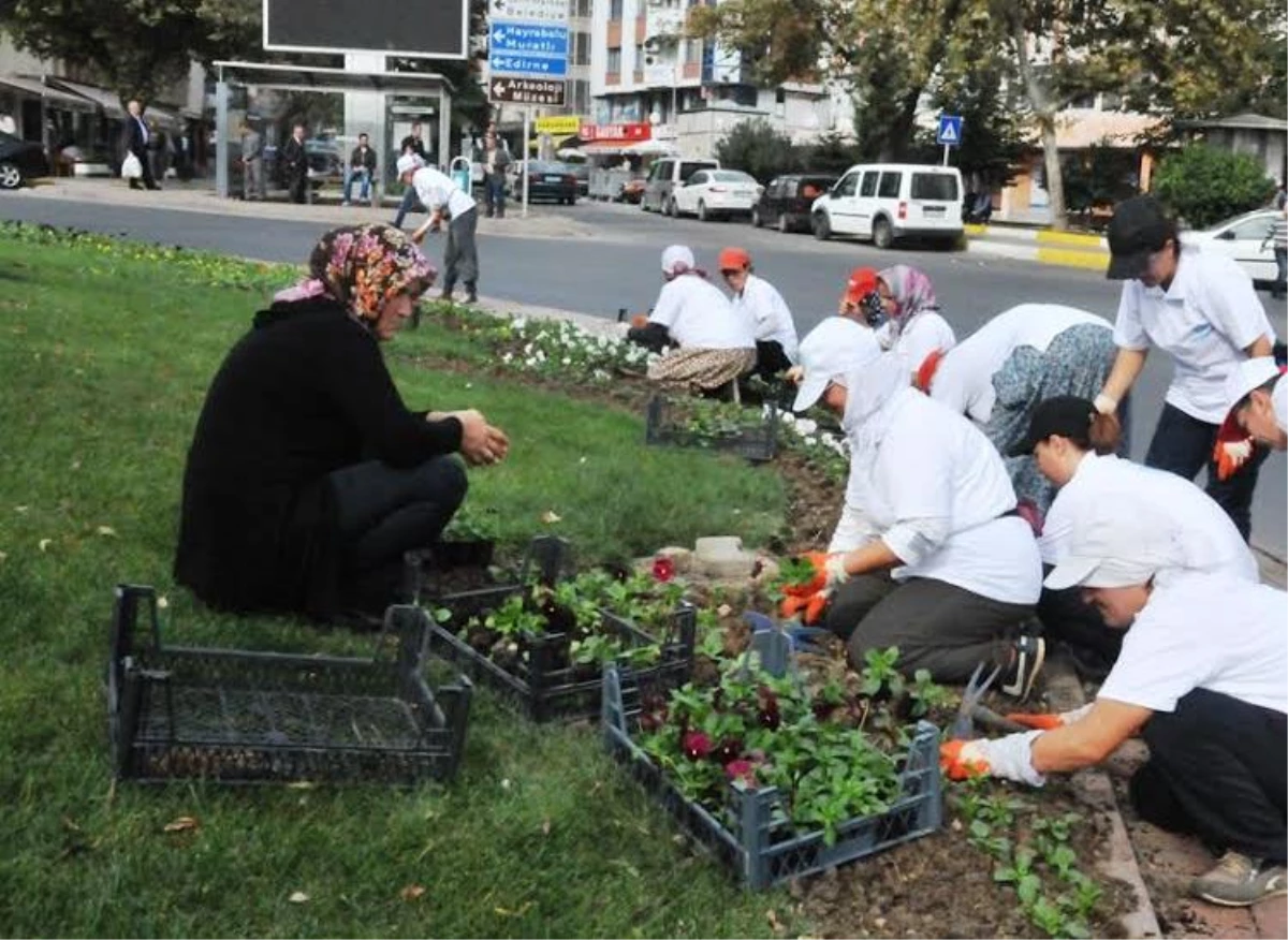 Süleymanpaşa Belediyesi Mevsimlik Çiçek Ekimine Başladı