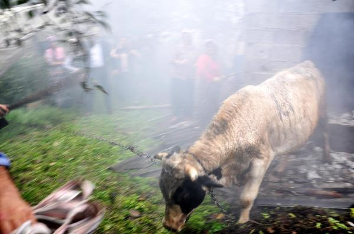 Yanan Ahırdaki Hayvanları Duvarı Yıkarak Kurtardılar