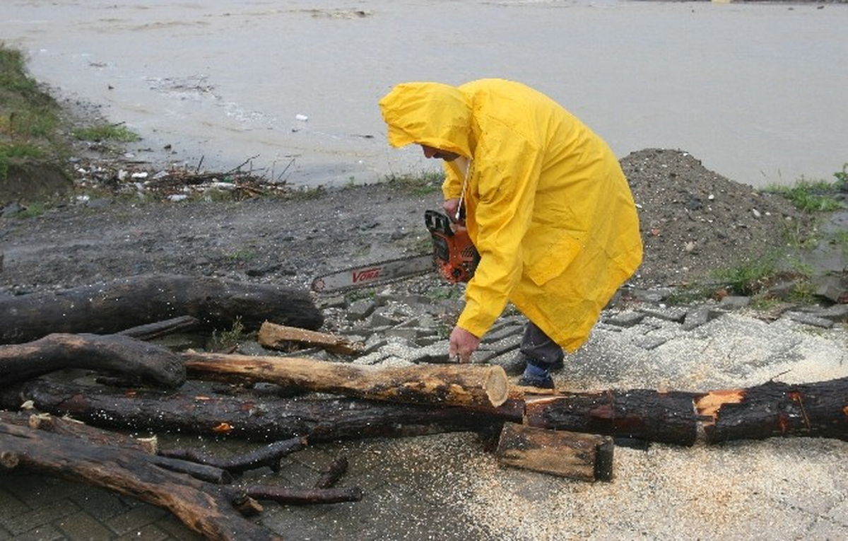 Kışlık Odunlar Karadeniz'den