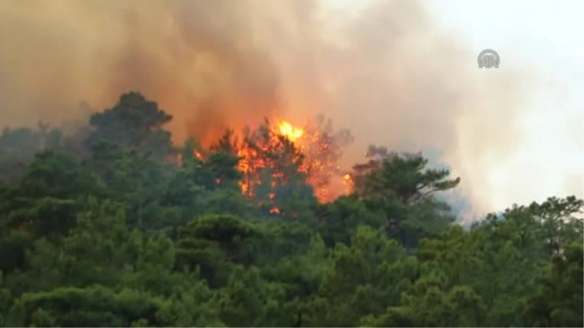 Marmaris\'te Orman Yangını (2)