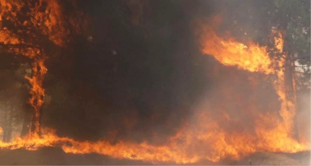Adana\'daki Orman Yangını