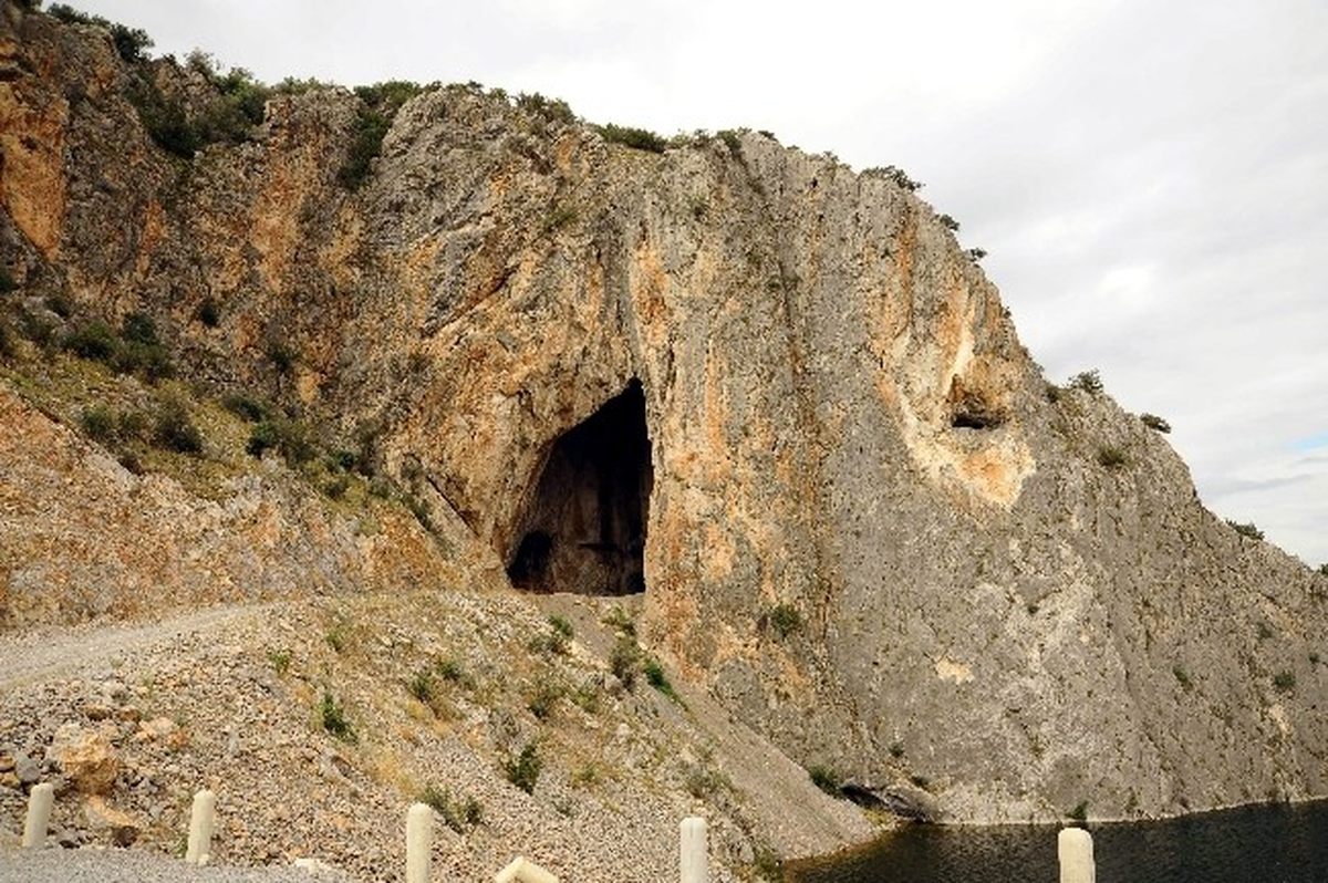 Balıkesir\'de Yarasalar da Çiftçiler de Mutlu
