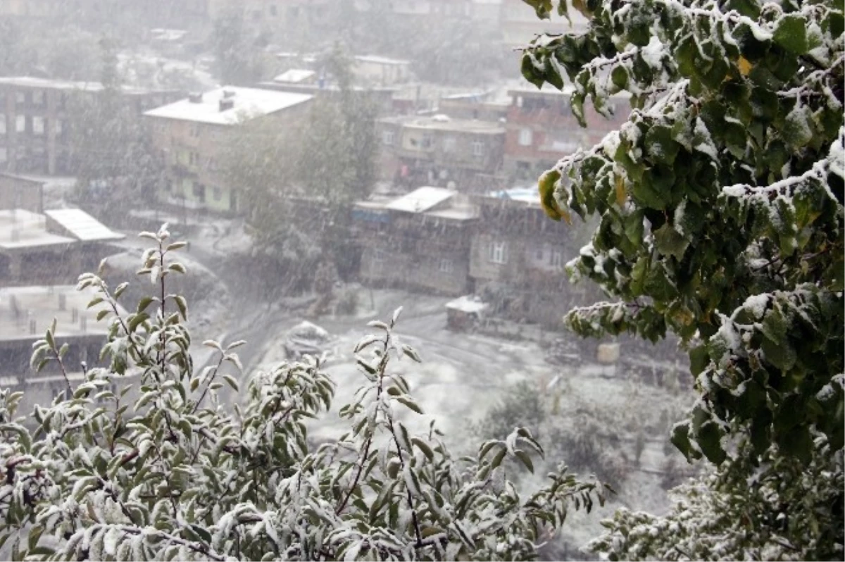 Hakkari Beyaza Büründü