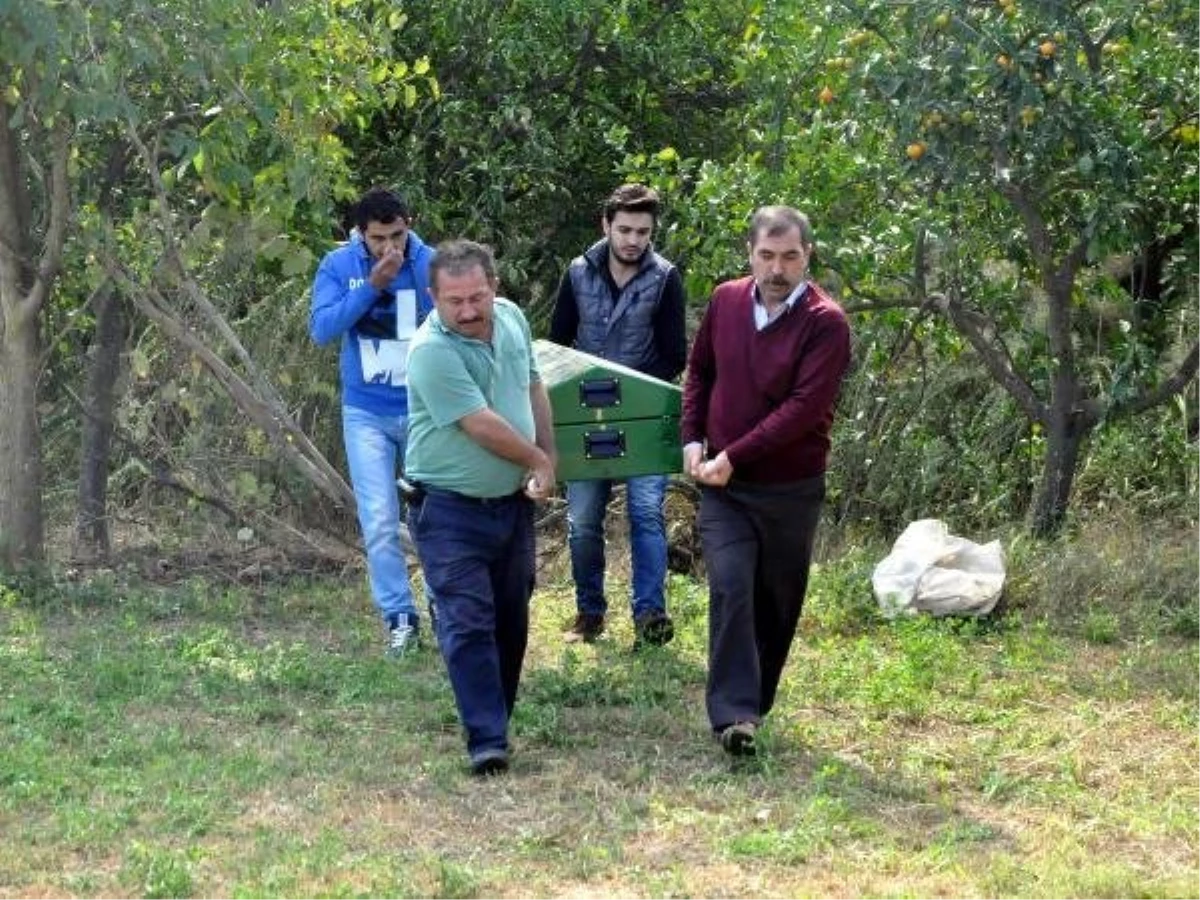 Kayıp Muhasebeci Ağaca Asılı Bulundu