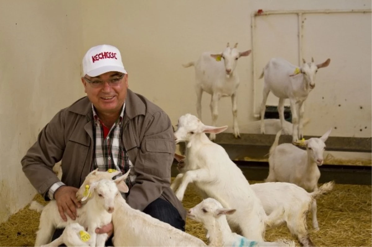 Keçi Sütü ve Peyniri Foodex\'te Görücüye Çıkacak!