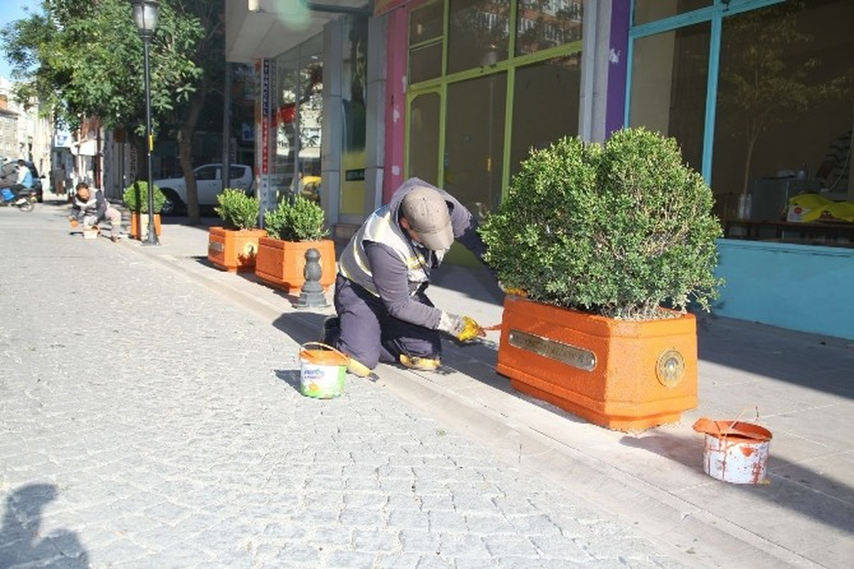Kent Merkezi Saksılarla Daha Güzel